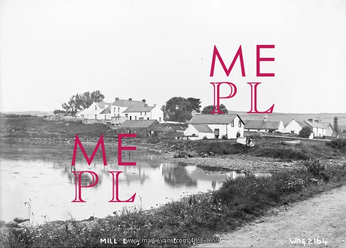 : Mill Bay, Islandmagee : Mill Bay, Islandmagee