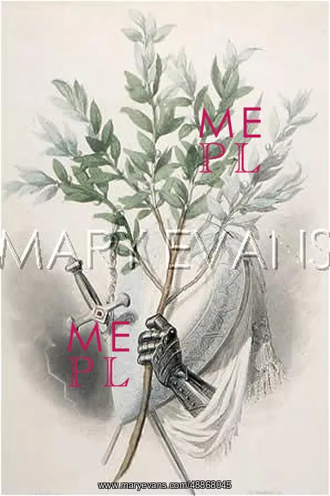 : Bay Laurel, Laurus Nobilis : Bay Laurel, Laurus Nobilis