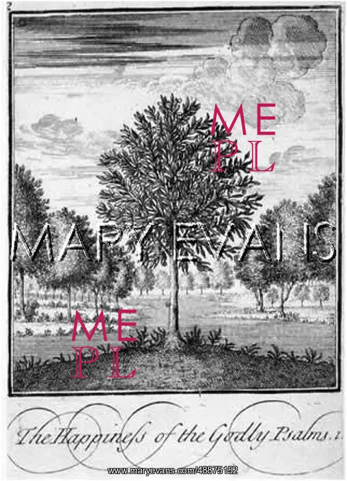 : BAY TREE. I myself have seen the ungodly.. : BAY TREE. I myself have seen the ungodly..