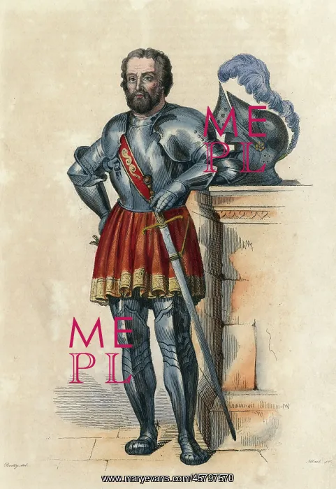 : BAYARD. PIERRE DE TERRAIL BAYARD (1473? - 1524), French soldier : BAYARD. PIERRE DE TERRAIL BAYARD (1473? - 1524), French soldier