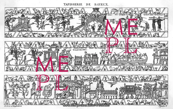 : Bayeux Tapestry (3 of 8) : Bayeux Tapestry (3 of 8)