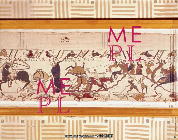 : Bayeux Tapestry : Bayeux Tapestry