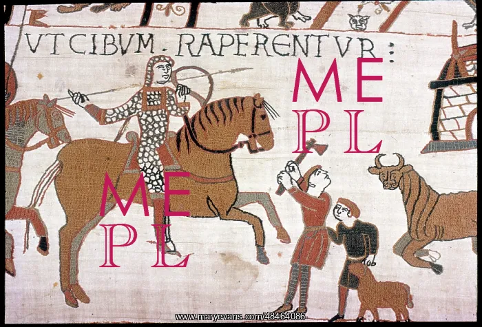 : The Bayeux Tapestry - Norman conquest of England : The Bayeux Tapestry - Norman conquest of England