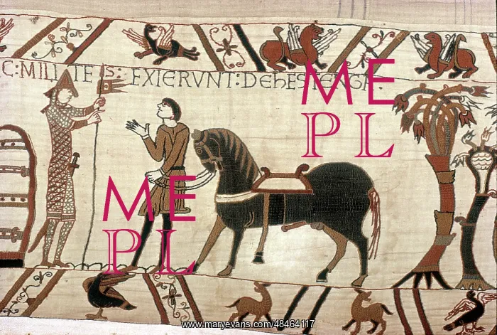 : The Bayeux Tapestry - Norman conquest of England : The Bayeux Tapestry - Norman conquest of England