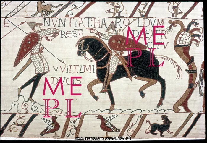 : The Bayeux Tapestry - Norman conquest of England : The Bayeux Tapestry - Norman conquest of England