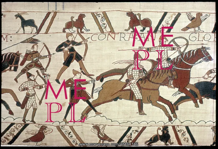 : The Bayeux Tapestry - Norman conquest of England : The Bayeux Tapestry - Norman conquest of England