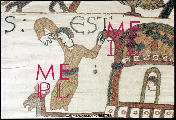 : The Bayeux Tapestry - Norman conquest of England : The Bayeux Tapestry - Norman conquest of England