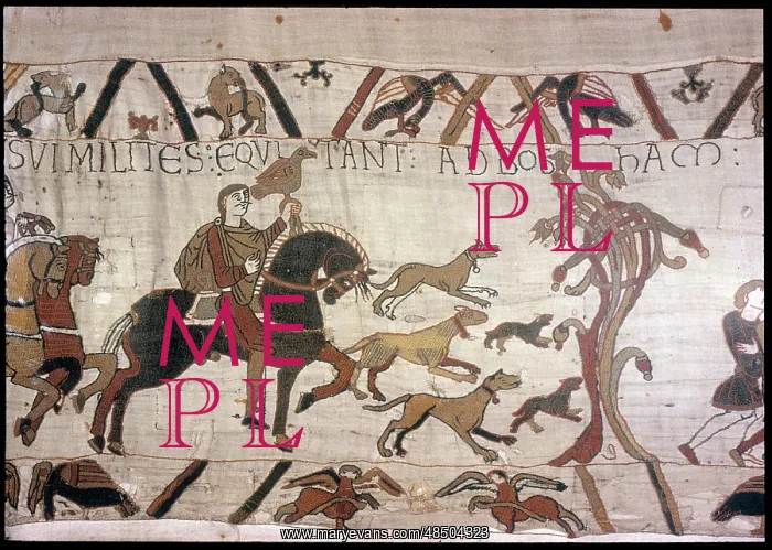 : The Bayeux Tapestry - Norman conquest of England : The Bayeux Tapestry - Norman conquest of England