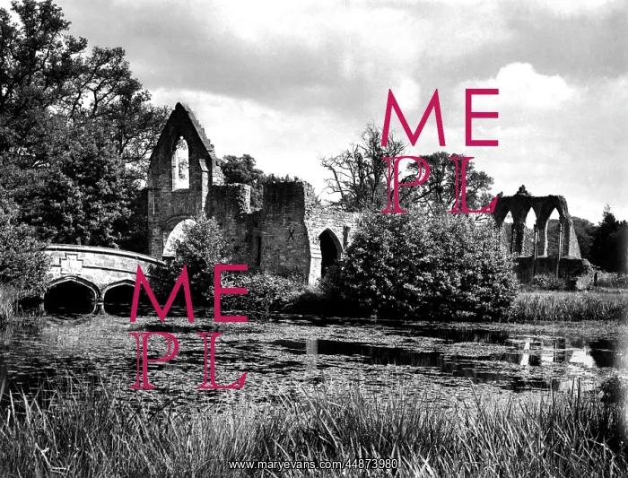 : BAYHAM ABBEY : BAYHAM ABBEY