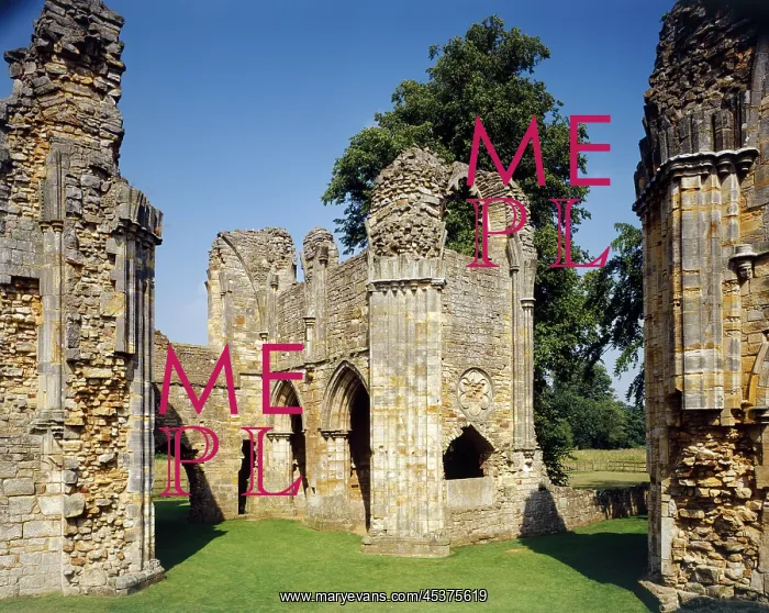 : Bayham Abbey : Bayham Abbey
