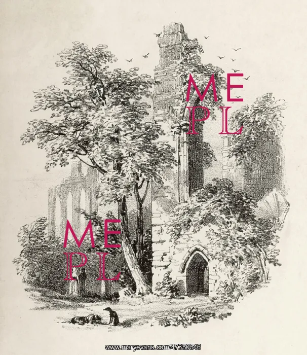 : Bayham Abbey : Bayham Abbey