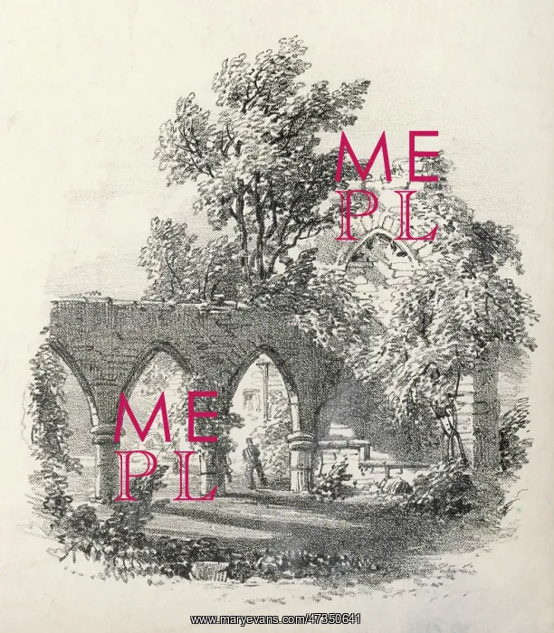 : Bayham Abbey : Bayham Abbey