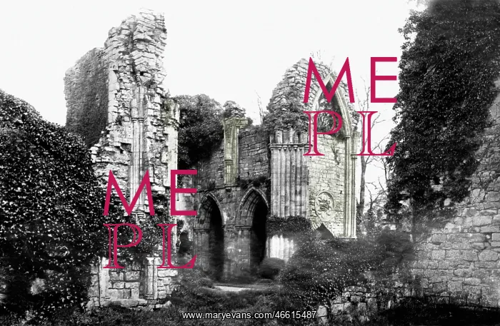  : Bayham, Abbey c1870