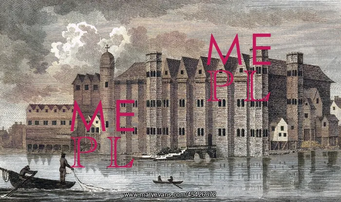 : BAYNARDS CASTLE : BAYNARDS CASTLE