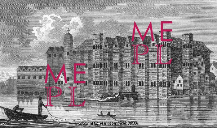 : BAYNARDS CASTLE : BAYNARDS CASTLE