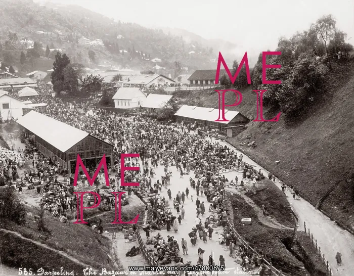 : The bazaar on market day, Darjeeling, India : The bazaar on market day, Darjeeling, India