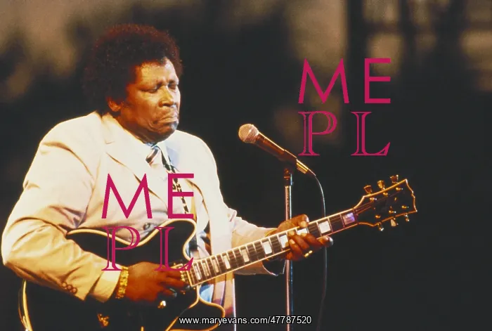 : B.B. King, 1984 : B.B. King, 1984