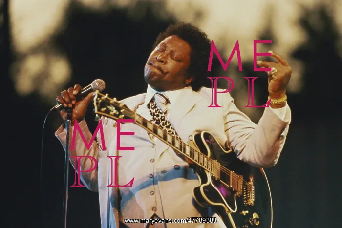 : B.B. King in 1984 : B.B. King in 1984