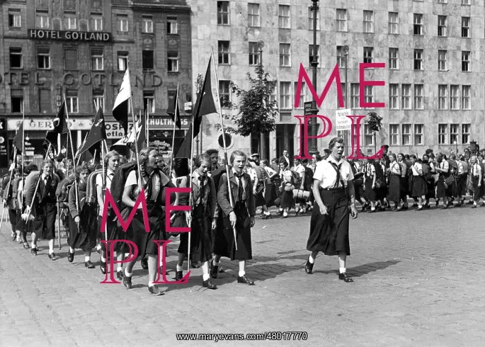 : BDM division : BDM division