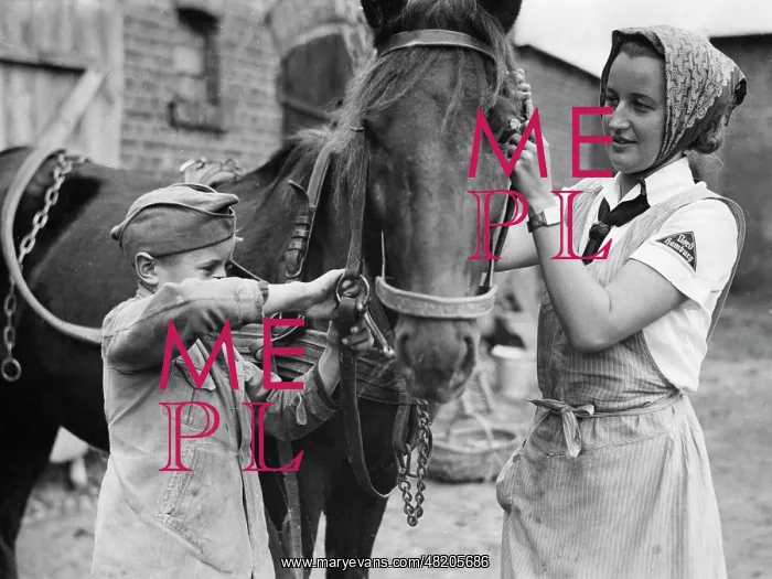 : BDM girl in Warthegau, 1940 : BDM girl in Warthegau, 1940