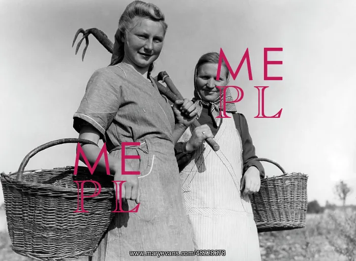 : BDM girl working in the field, 1941 : BDM girl working in the field, 1941