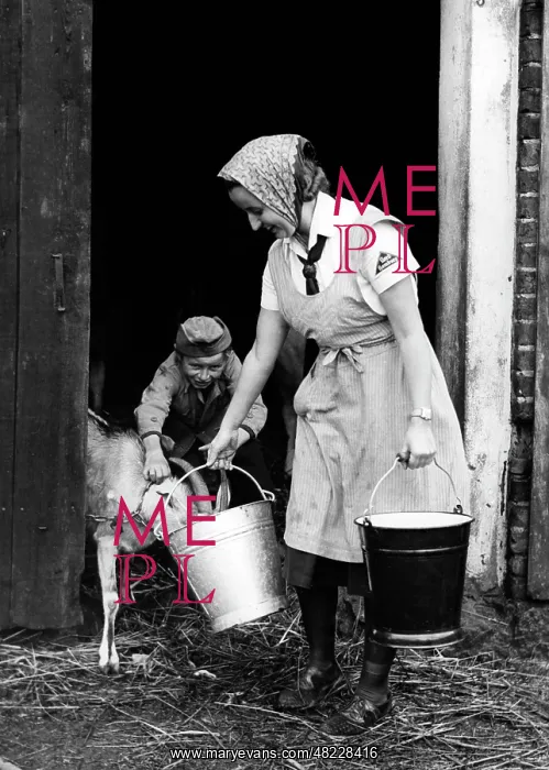: BDM girl working in the shed, 1940 : BDM girl working in the shed, 1940