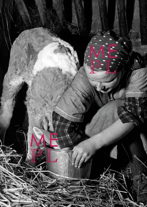 : BDM girl working in the shed, 1940 : BDM girl working in the shed, 1940
