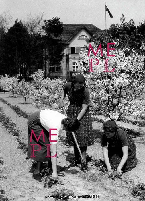 : BDM girls working in the garden, 1939 : BDM girls working in the garden, 1939