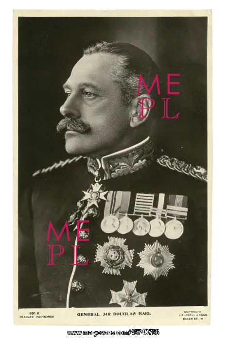 : Be-medalled General Sir Douglas Haig : Be-medalled General Sir Douglas Haig