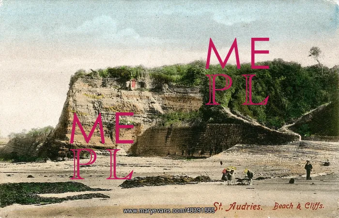 : Beach & Cliffs, St Audries, Somerset : Beach & Cliffs, St Audries, Somerset