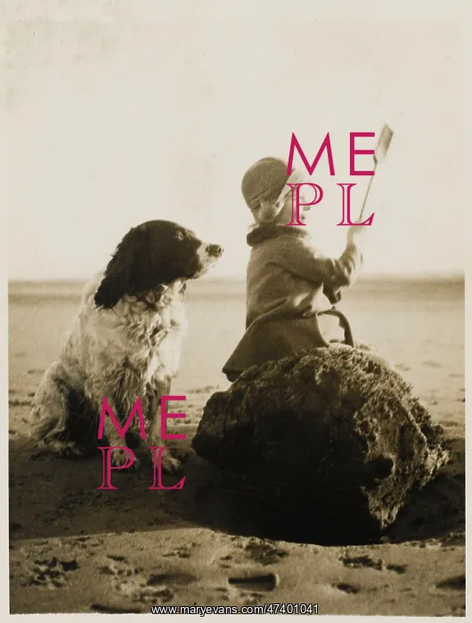 : ONE THE BEACH WITH DOG : ONE THE BEACH WITH DOG