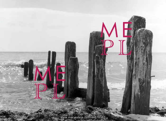 : BEACH GROYNE : BEACH GROYNE