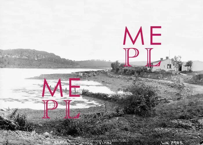 : The Beach, Mahee Island : The Beach, Mahee Island