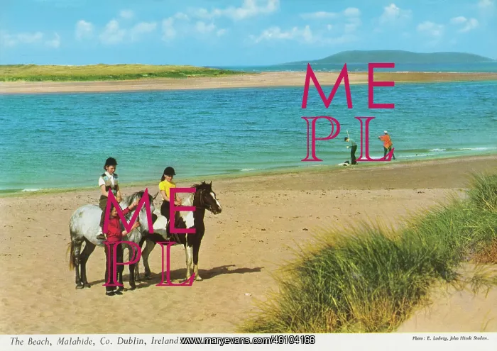 : The Beach, Malahide, County Dublin, Republic of Ireland : The Beach, Malahide, County Dublin, Republic of Ireland