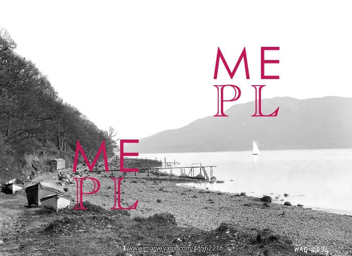 : The Beach, Rostrevor : The Beach, Rostrevor