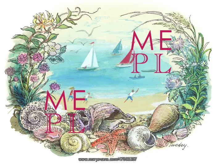 : Beach & sailing boats with seashells & flowers : Beach & sailing boats with seashells & flowers