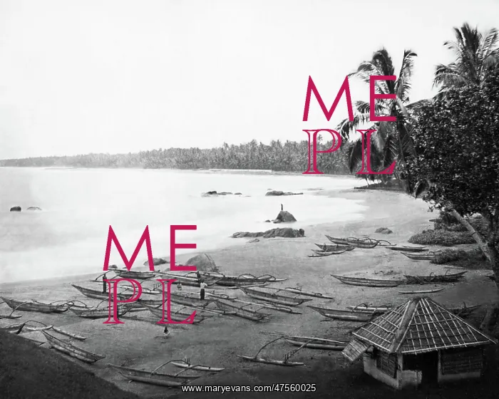 : Beach scene, Ceylon (Sri Lanka) : Beach scene, Ceylon (Sri Lanka)