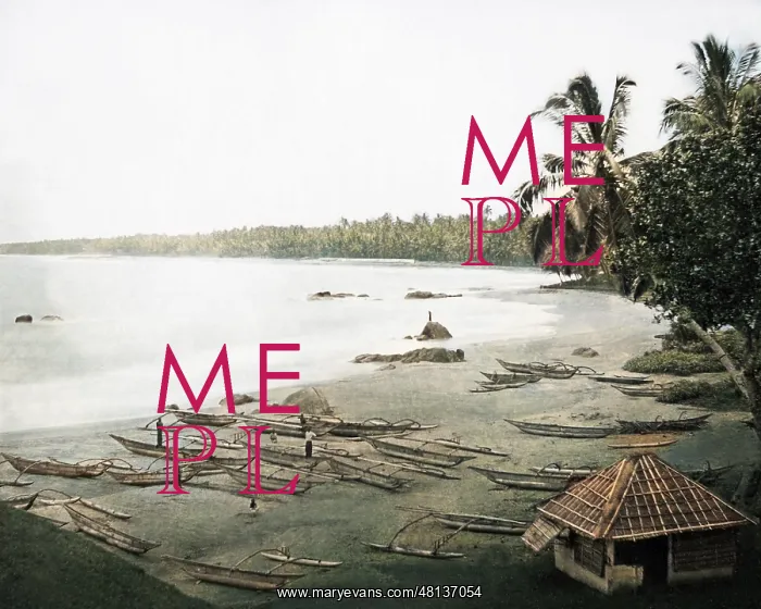 : Beach scene, Ceylon (Sri Lanka) : Beach scene, Ceylon (Sri Lanka)
