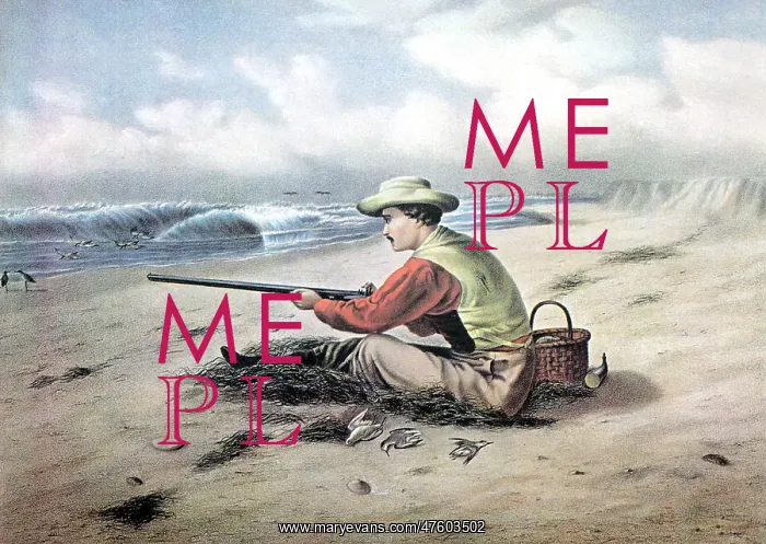: Beach Snipe Shooting, 1869 : Beach Snipe Shooting, 1869
