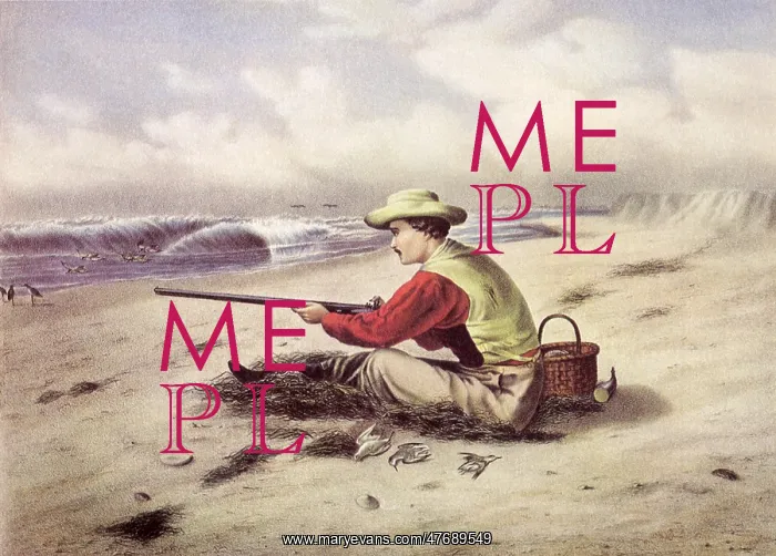 : Beach Snipe Shooting