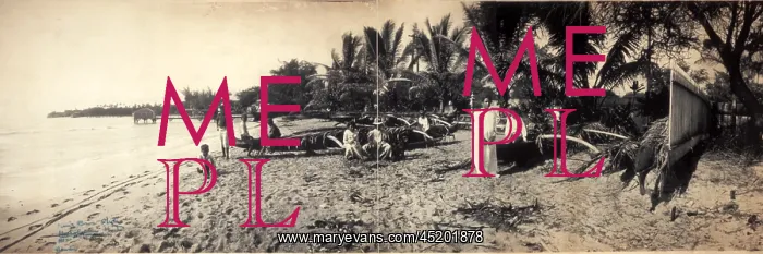 : Beach at Waikiki, October 17, 1902 ? : Beach at Waikiki, October 17, 1902 ?