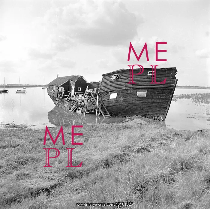 : Beached Houseboat : Beached Houseboat