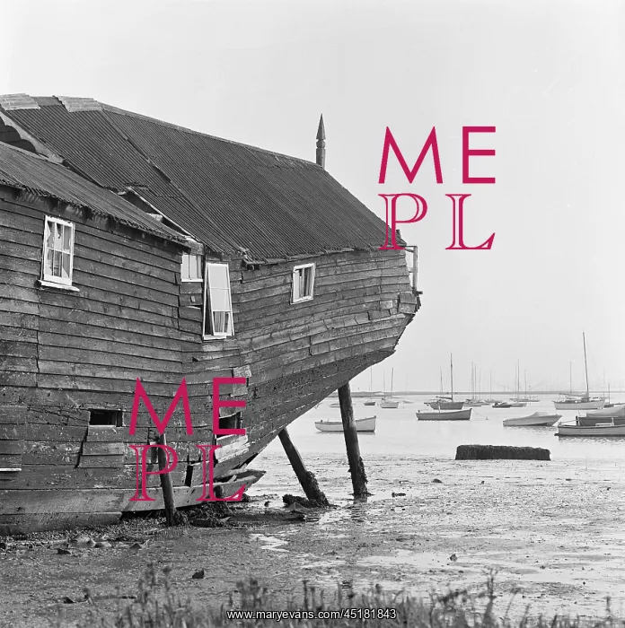 : Beached Houseboat : Beached Houseboat