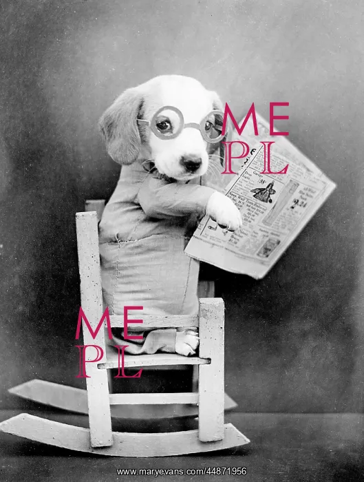  : BEAGLE NEWSREADER
