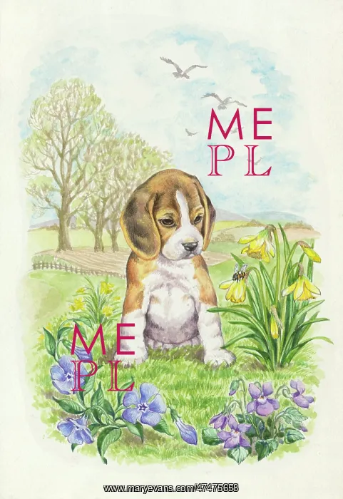 : Beagle Puppy looking at a bee on daffodils : Beagle Puppy looking at a bee on daffodils
