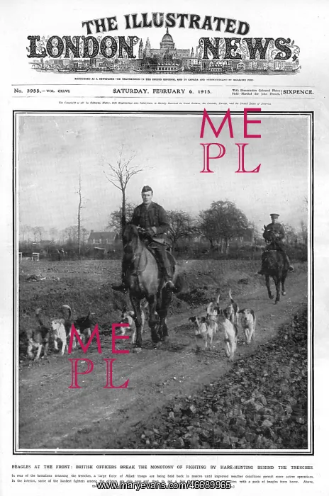 : Beagles at the Front : Beagles at the Front