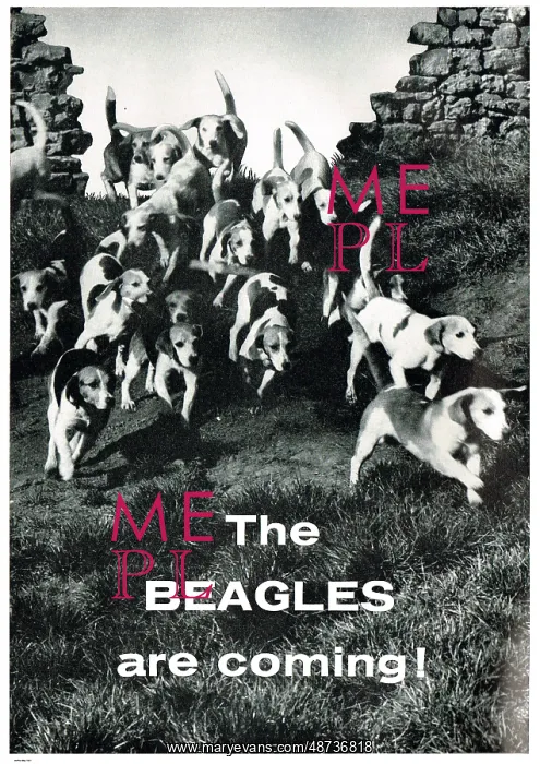 : The Beagles Are Coming! : The Beagles Are Coming!