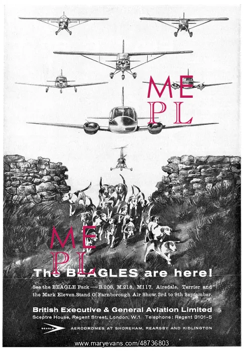 : The Beagles Are Here! : The Beagles Are Here!