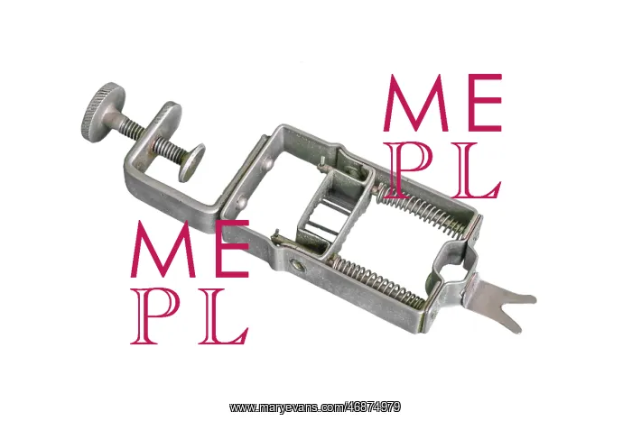  : Bean Slicer
