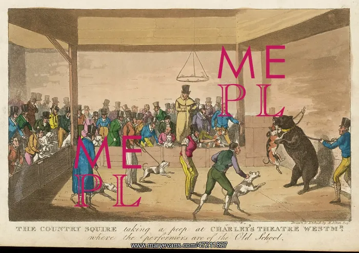 : Bear Baiting, 1821 : Bear Baiting, 1821